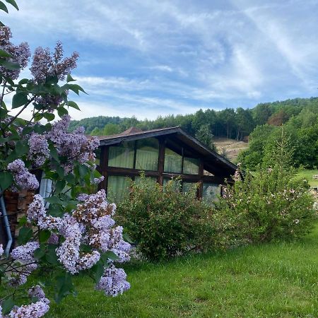 Cabana Vanatorului 8 Sohodol  Экстерьер фото